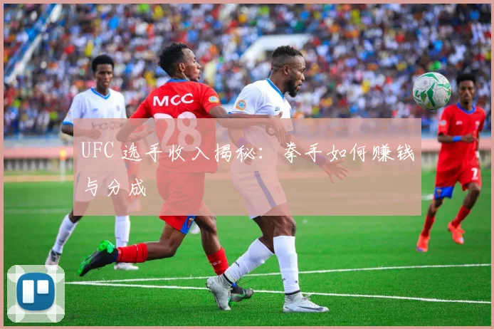 UFC 选手收入揭秘:拳手如何赚钱与分成