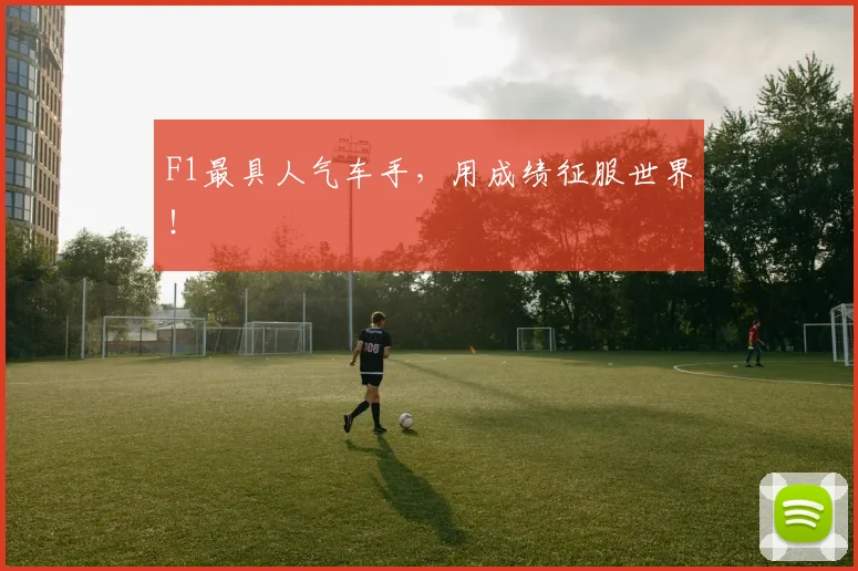 F1最具人气车手,用成绩征服世界!
